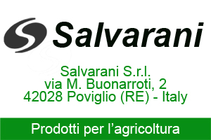 SALVARANI NEW BIG 300x200