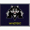 minerbio 100x100