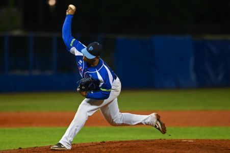 Baez Joel Ernesto