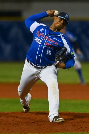 Baez Joel Ernesto