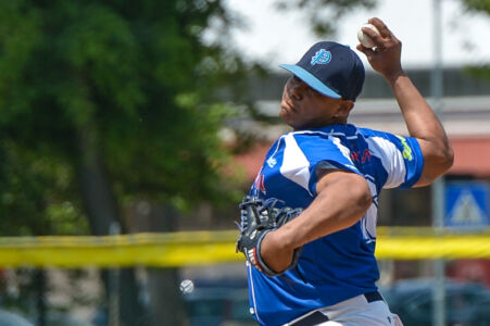 Baez Joel Ernesto