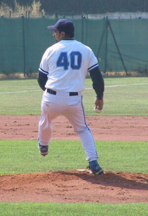 Comoglio Ernesto Domingo