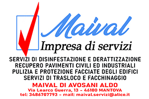 maival r 3x2 x giornalino 300x200